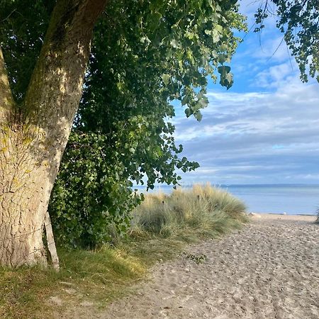 Feriendorf Suedstrand Haus 35 Pelzerhaken Zewnętrze zdjęcie